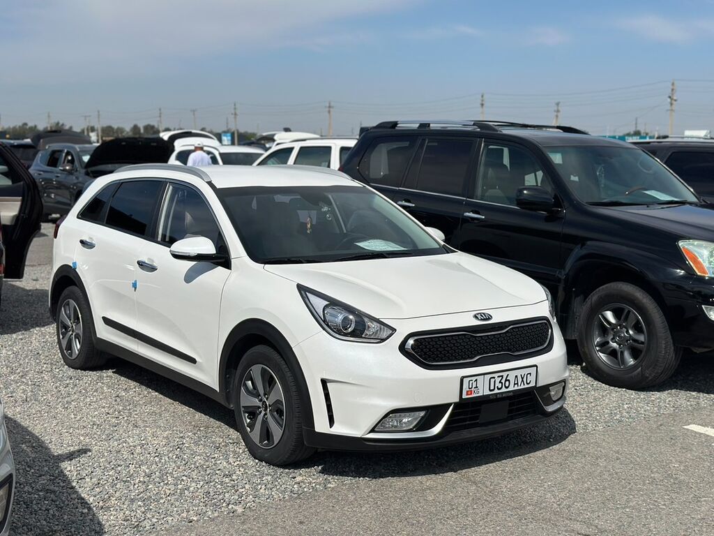 Kia Niro: 2018 г., 1.6 л, Автомат, Гибрид, Кроссовер: фото 2