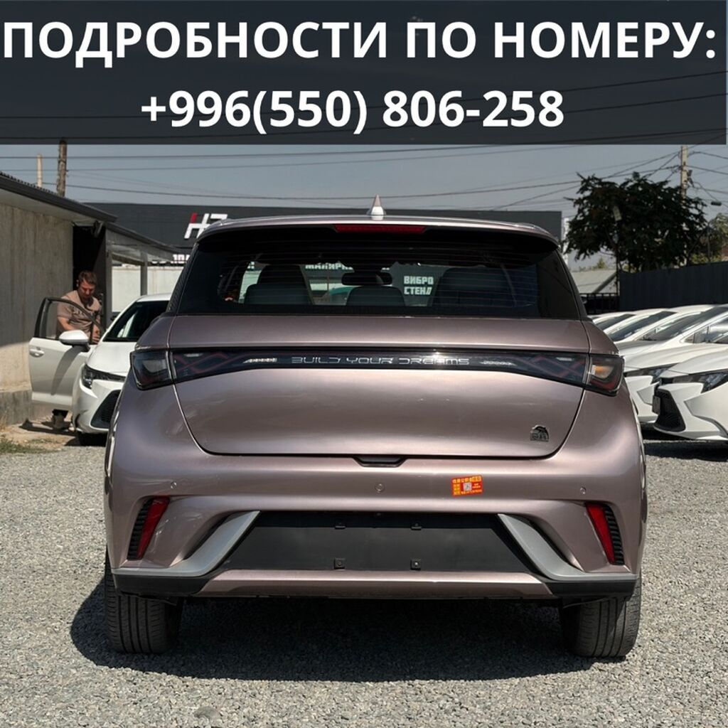 BYD Dolphin: 2022 г., 0.1 л, Автомат, Электромобиль, Хэтчбэк: фото 8