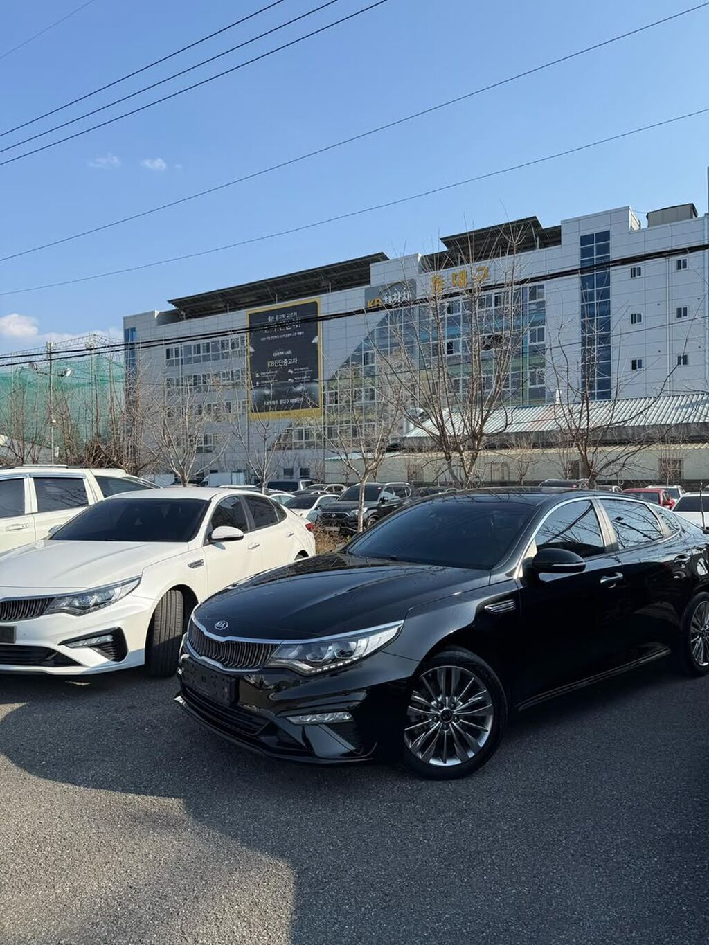 Kia K5: 2019 г., 2 л, Автомат, Бензин, Седан: фото 2