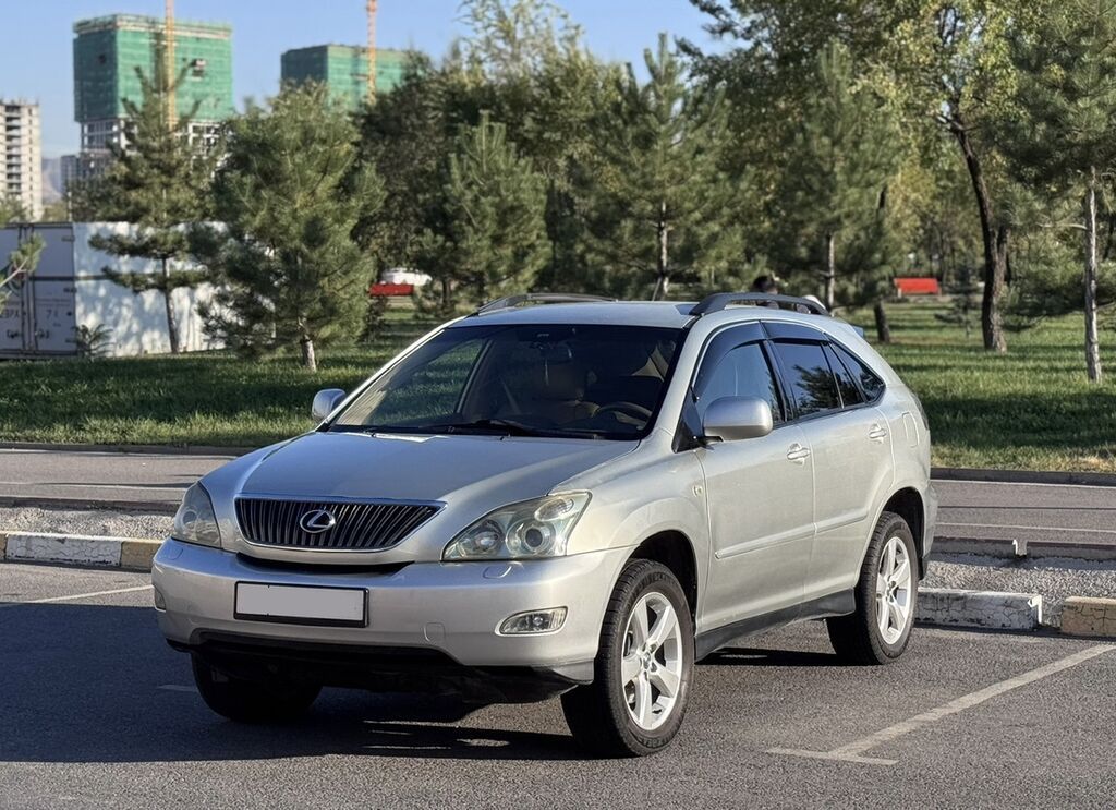Lexus RX: 2004 г., 3 л, Автомат, Бензин, Кроссовер: фото 2
