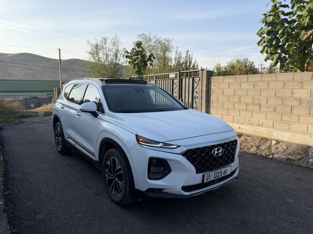 Hyundai Santa Fe: 2018 г., 2 л, Автомат, Бензин, Кроссовер: фото 1