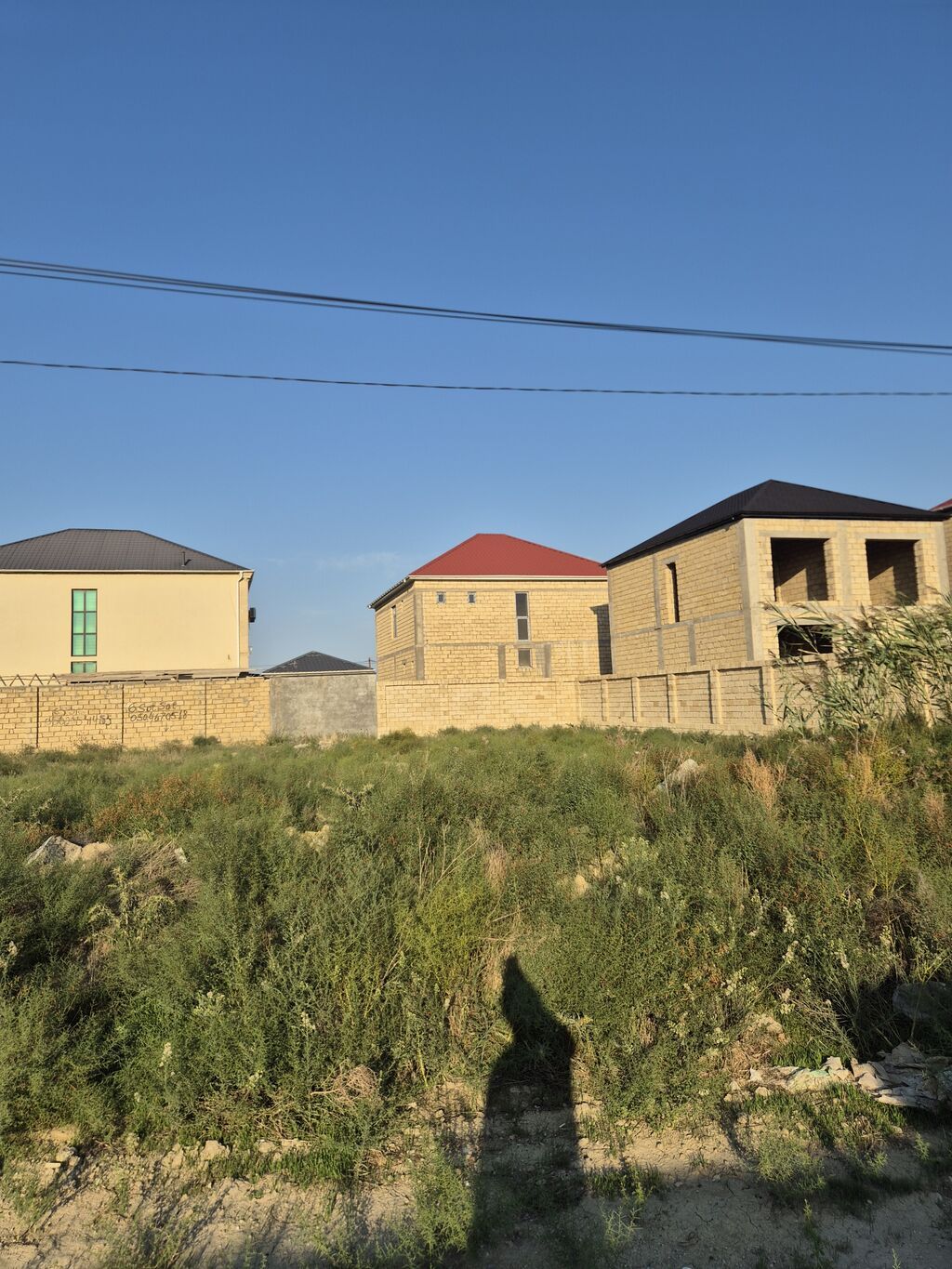 Tikinti