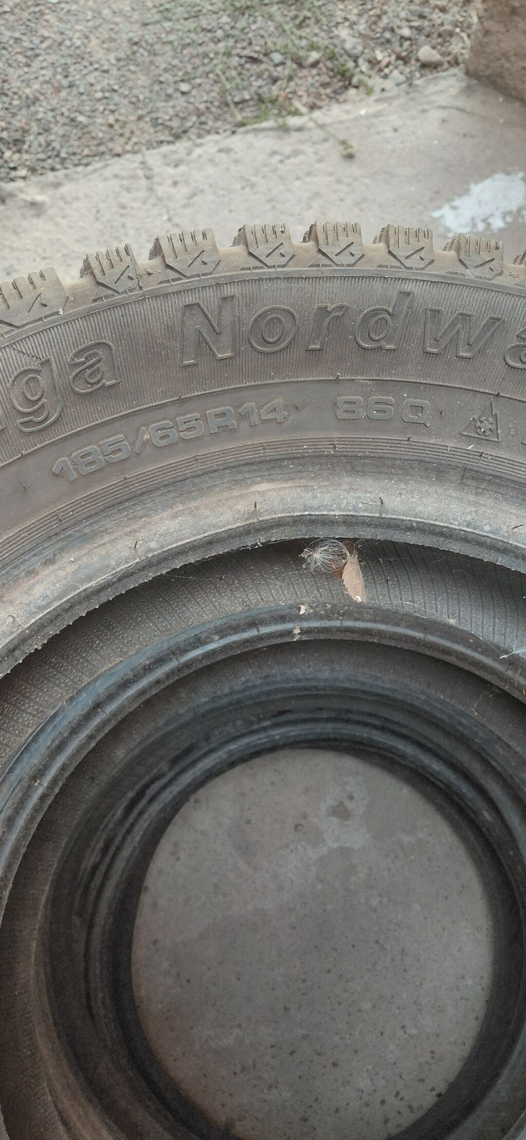 Комплект зимних шин с шипами 185/65 R14 - Марка/модель:Tunga Nirdway: фото 2