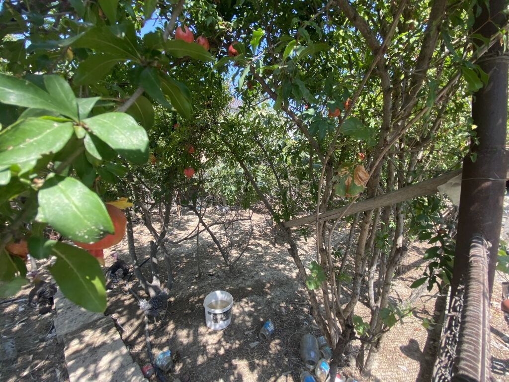 2 sot, Kupça (Çıxarış)
