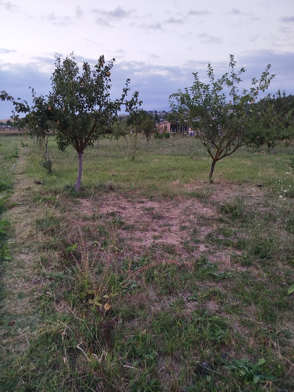 25 sot, Tikinti, Mülkiyyətçi, Kupça (Çıxarış)