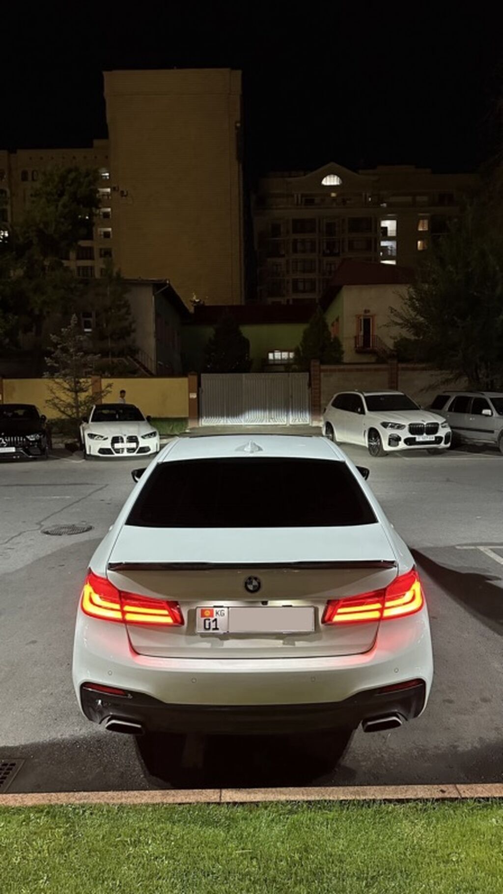BMW 5 series: 2019 г., 2 л, Автомат, Бензин, Седан: фото 6
