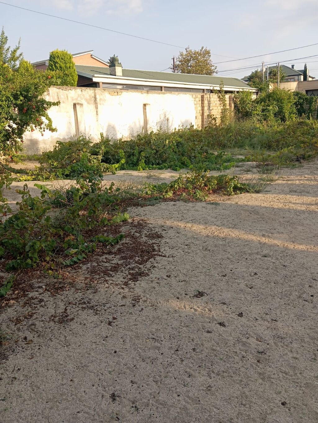 8 sot, Tikinti, Mülkiyyətçi, Kupça (Çıxarış)