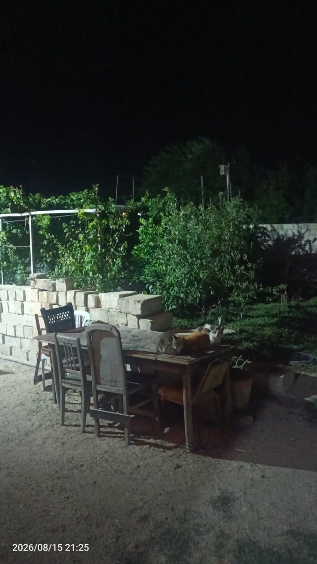 Zeynalabdin Tağıyev, 105 kv. m, 4 otaqlı, Hovuzsuz, Kanalizasiya, İnternet, Telefon