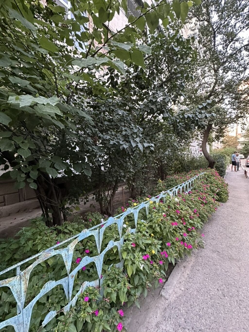3 комнаты, 81 м², 106 серия, 8 этаж, Евроремонт: фото 2