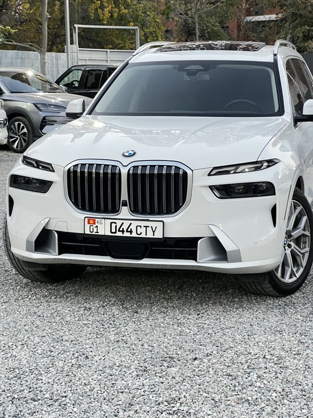 BMW X7: 2023 г., 3 л, Автомат, Бензин, Кроссовер: фото 6