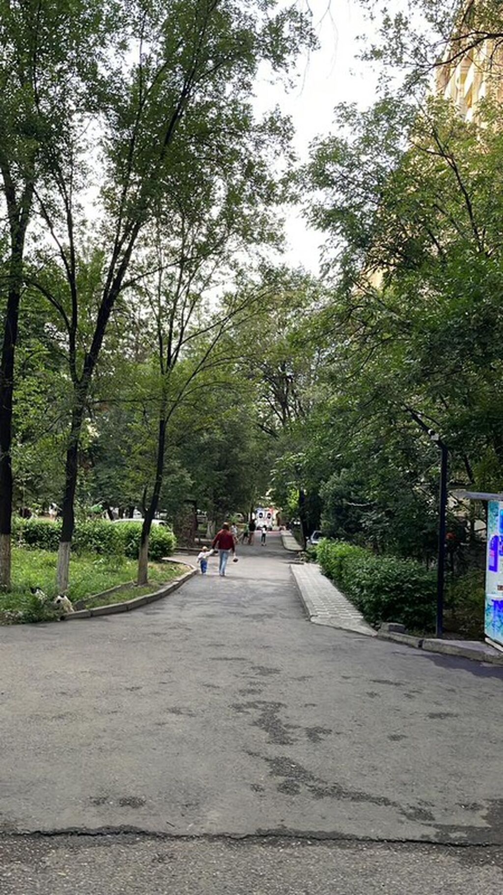 3 комнаты, 65 м², БГУ Индивидуалка, 8 этаж, Свежий ремонт: фото 5