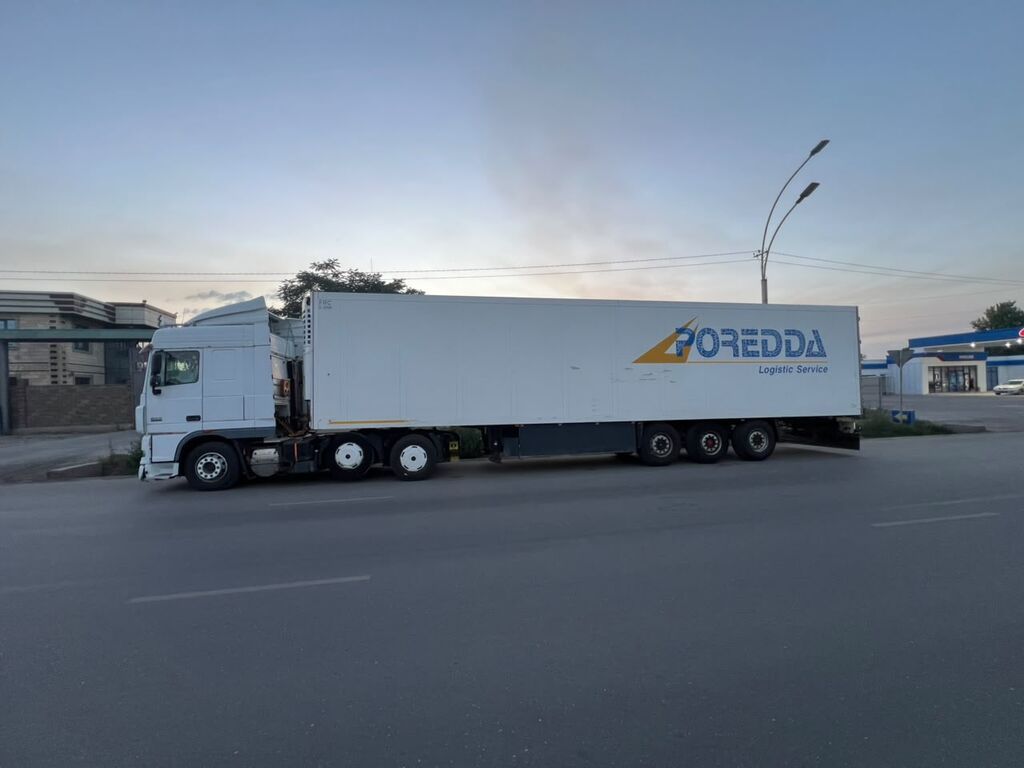 Тягач, DAF, 2009 г., Холодильник, рефрижератор: фото 2