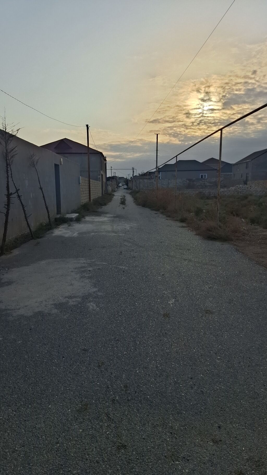 Tikinti