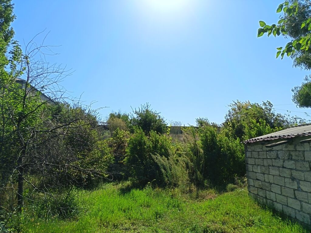 Yaşıl həyətli fərdi ev sahəsi - Geniş həyət: betonlanmış keçid və