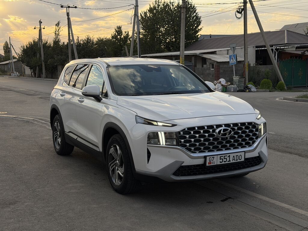 Hyundai Santa Fe: 2020 г., 2.2 л, Робот, Дизель, Кроссовер: фото 4