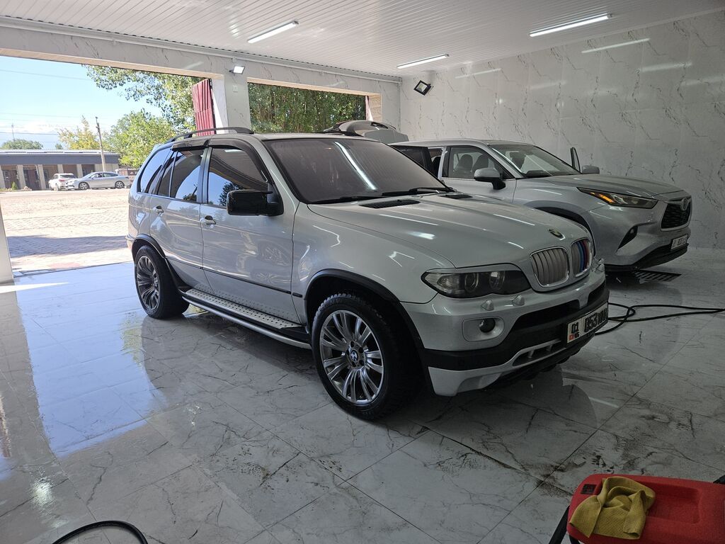 BMW X5: 2005 г., 3 л, Автомат, Дизель, Кроссовер: фото 6