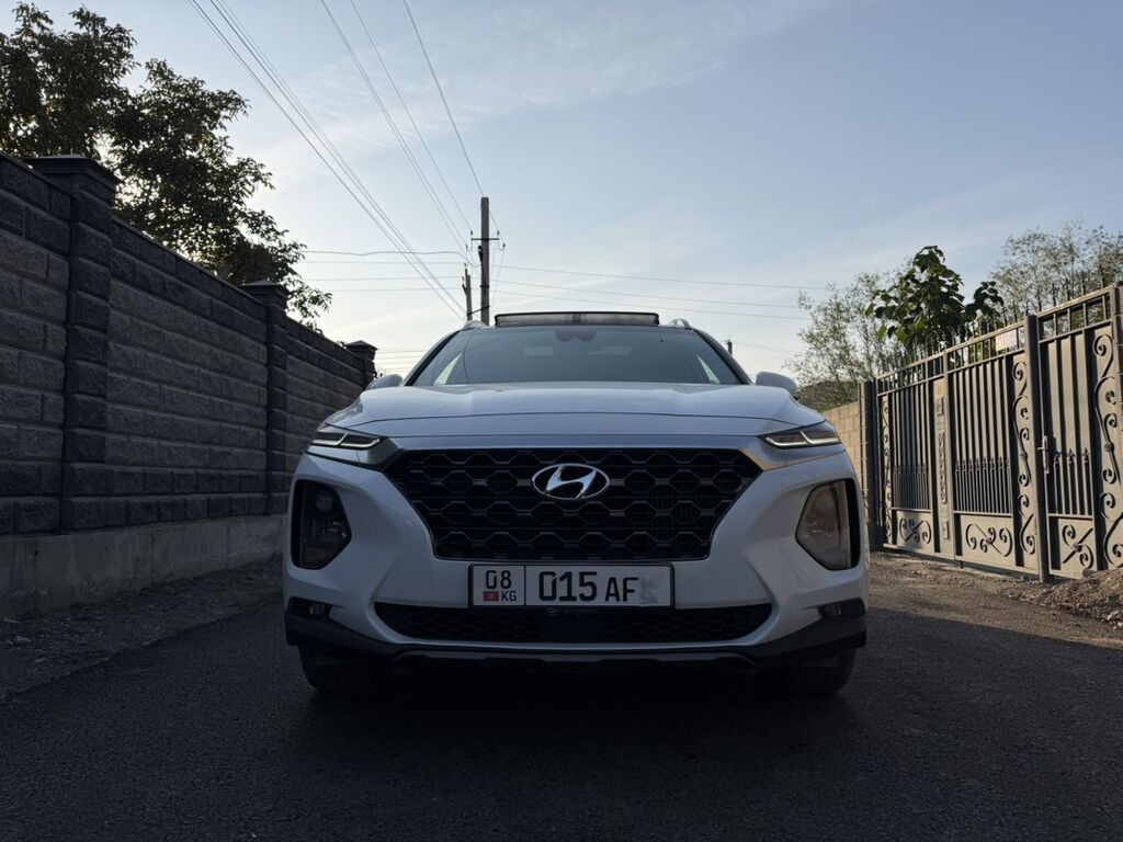 Hyundai Santa Fe: 2018 г., 2 л, Автомат, Бензин, Кроссовер: фото 3