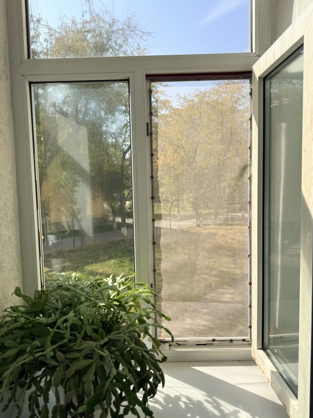 1 комната, 29 м², Филармония Индивидуалка, 2 этаж, Свежий ремонт: фото 8