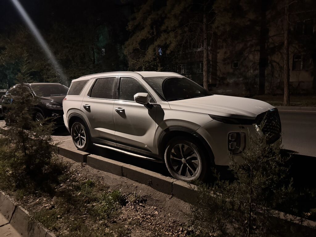Hyundai Palisade: 2019 г., 2.2 л, Автомат, Дизель: фото 3