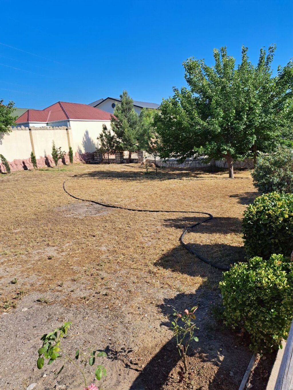6 sot, Tikinti, Mülkiyyətçi, Kupça (Çıxarış)