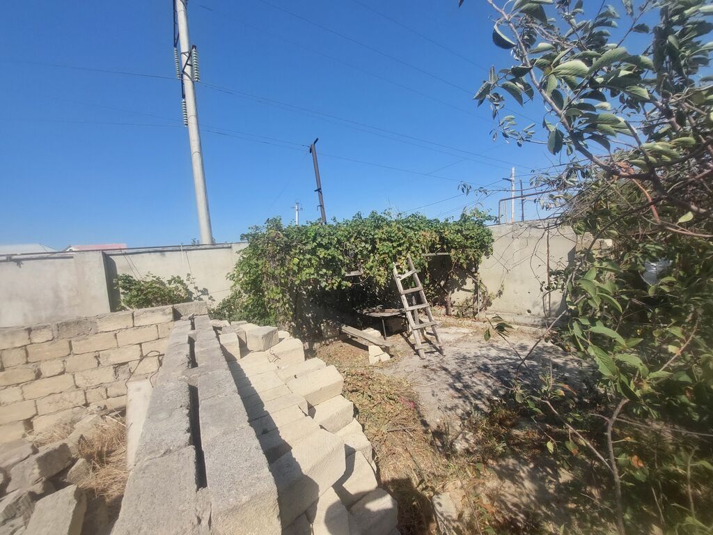 Tikinti
