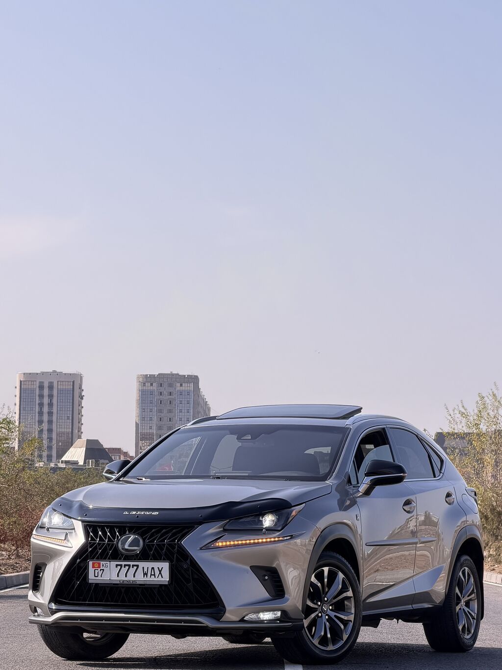 Lexus NX: 2019 г., 2 л, Автомат, Бензин, Кроссовер: фото 2