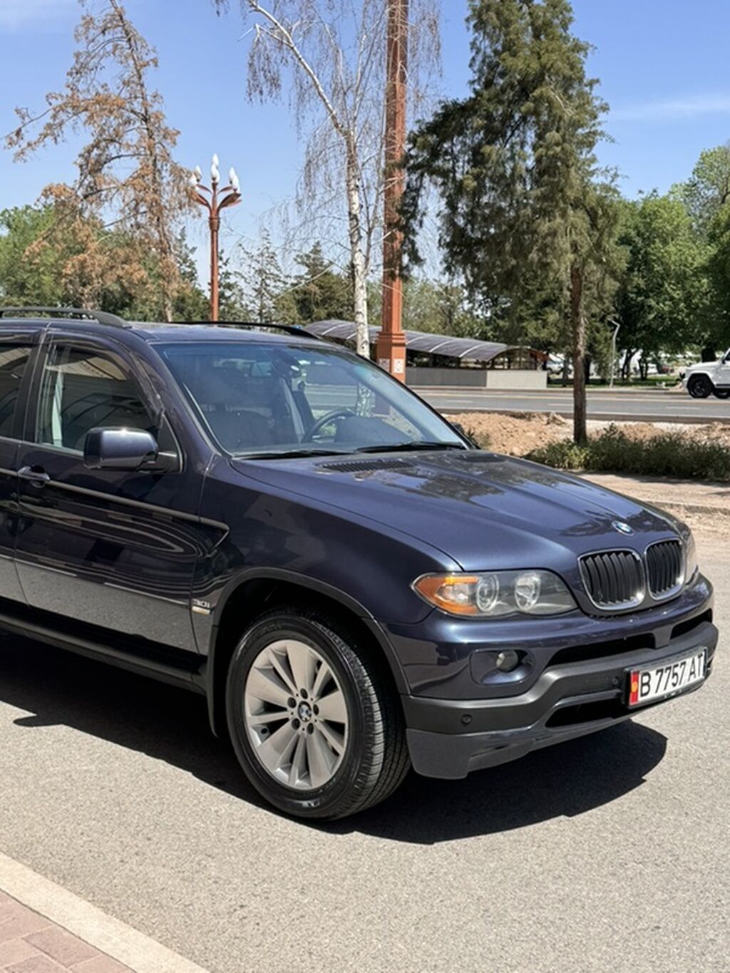 BMW X5: 2005 г., 3 л, Автомат, Бензин, Кроссовер: фото 3