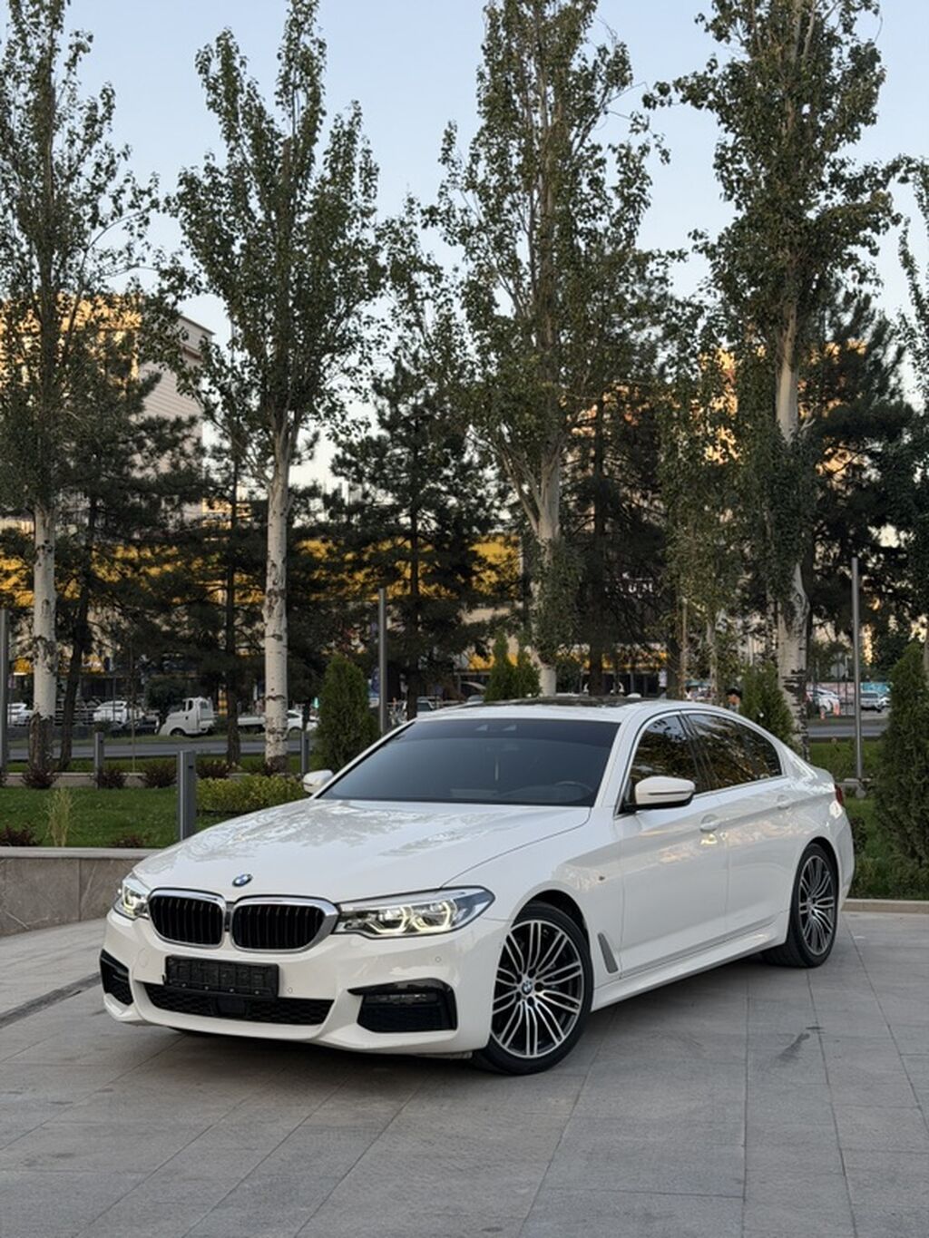 BMW 530: 2019 г., 2 л, Автомат, Бензин, Седан: фото 2