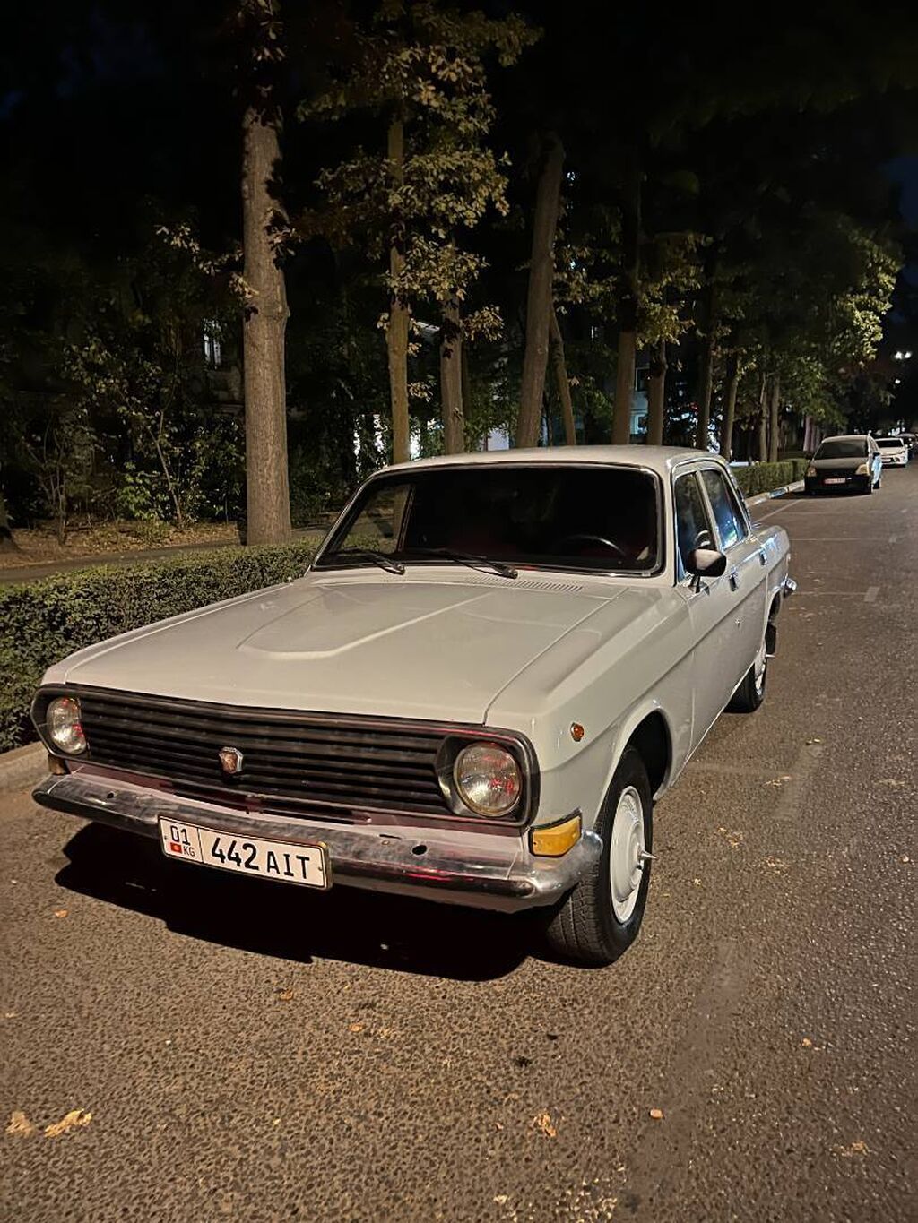 ГАЗ 24 Volga: 1989 г., 2 л, Бензин: фото 1