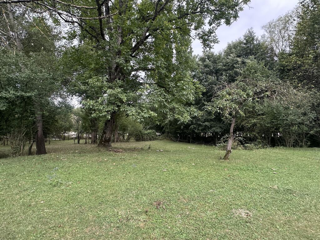28 sot, Biznes üçün, Mülkiyyətçi, Kupça (Çıxarış)