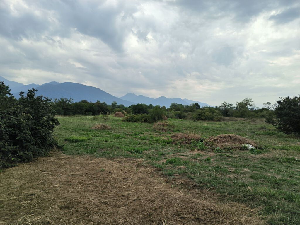 250 sot, Tikinti, Mülkiyyətçi, Kupça (Çıxarış)