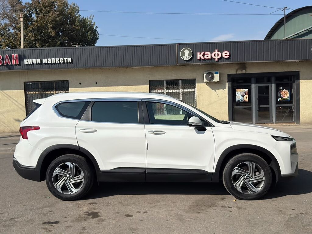 Hyundai Santa Fe: 2020 г., 2.2 л, Робот, Дизель, Внедорожник: фото 7