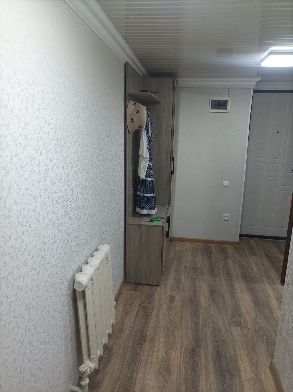 Студия с антресолью и отдельной кухней - Планировка: входная зона с: фото 3