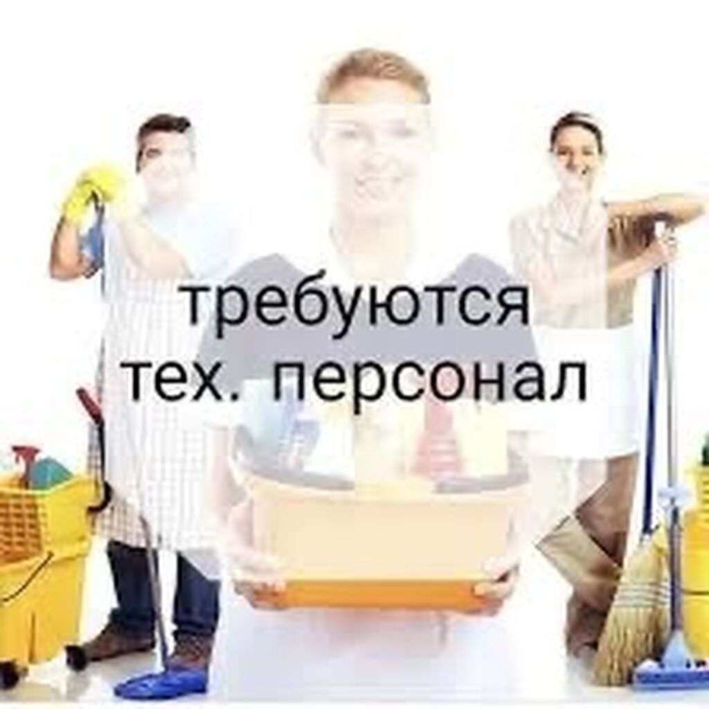 Требуется Посудомойщик, Оплата: Еженедельно