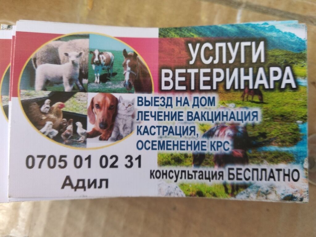 Ветеринар по вызову Искусственное осеменение КРС Кастрация ...