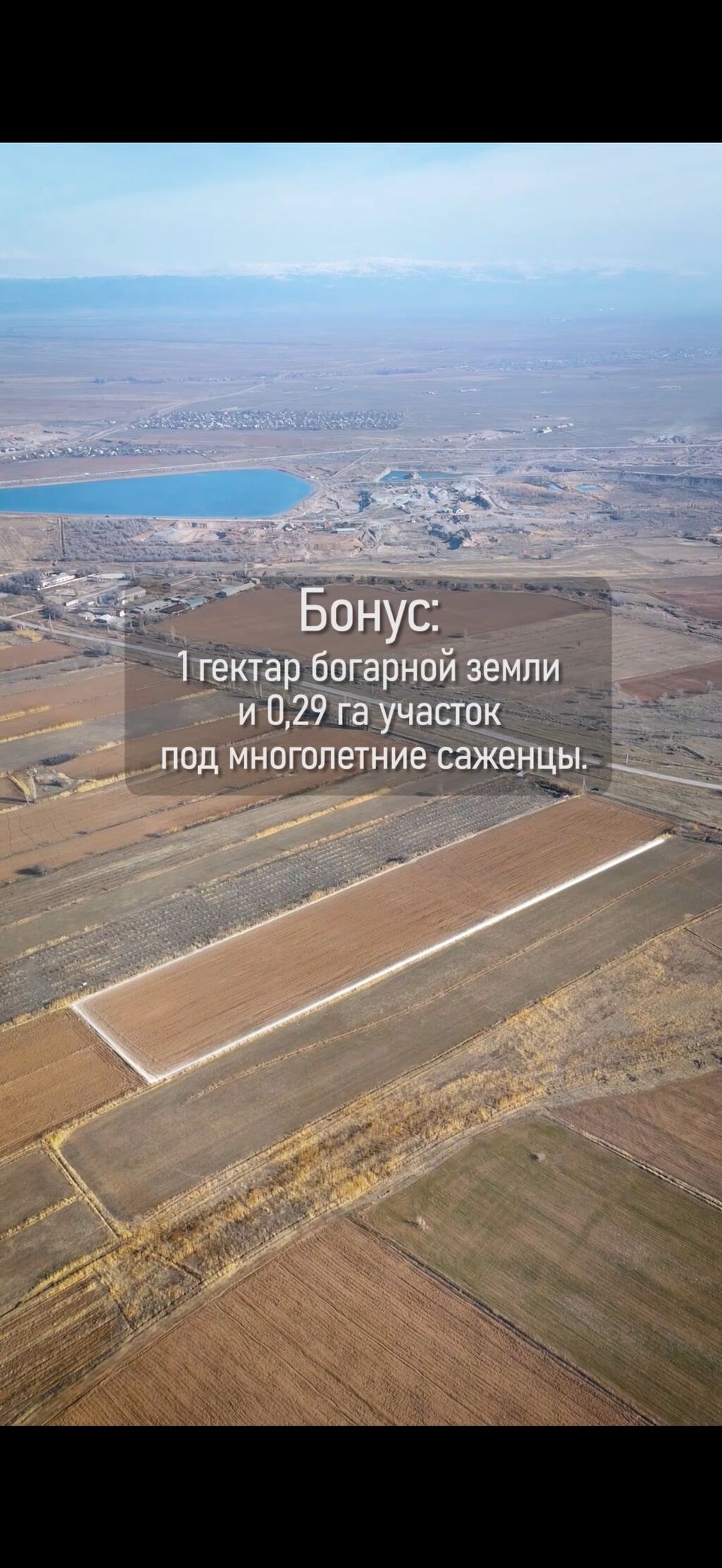 319 соток, Для сельского хозяйства: фото 7