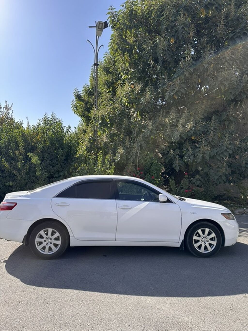 Toyota Camry: 2007 г., 2.4 л, Автомат, Бензин, Седан: фото 5