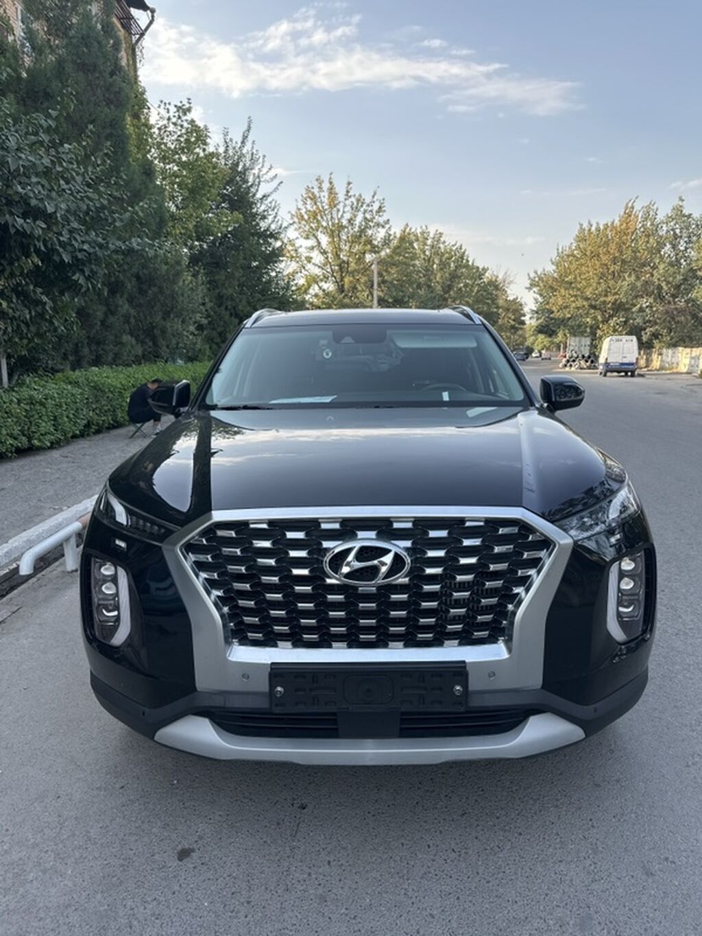 Hyundai Palisade: 2019 г., 2.2 л, Автомат, Дизель, Кроссовер: фото 6