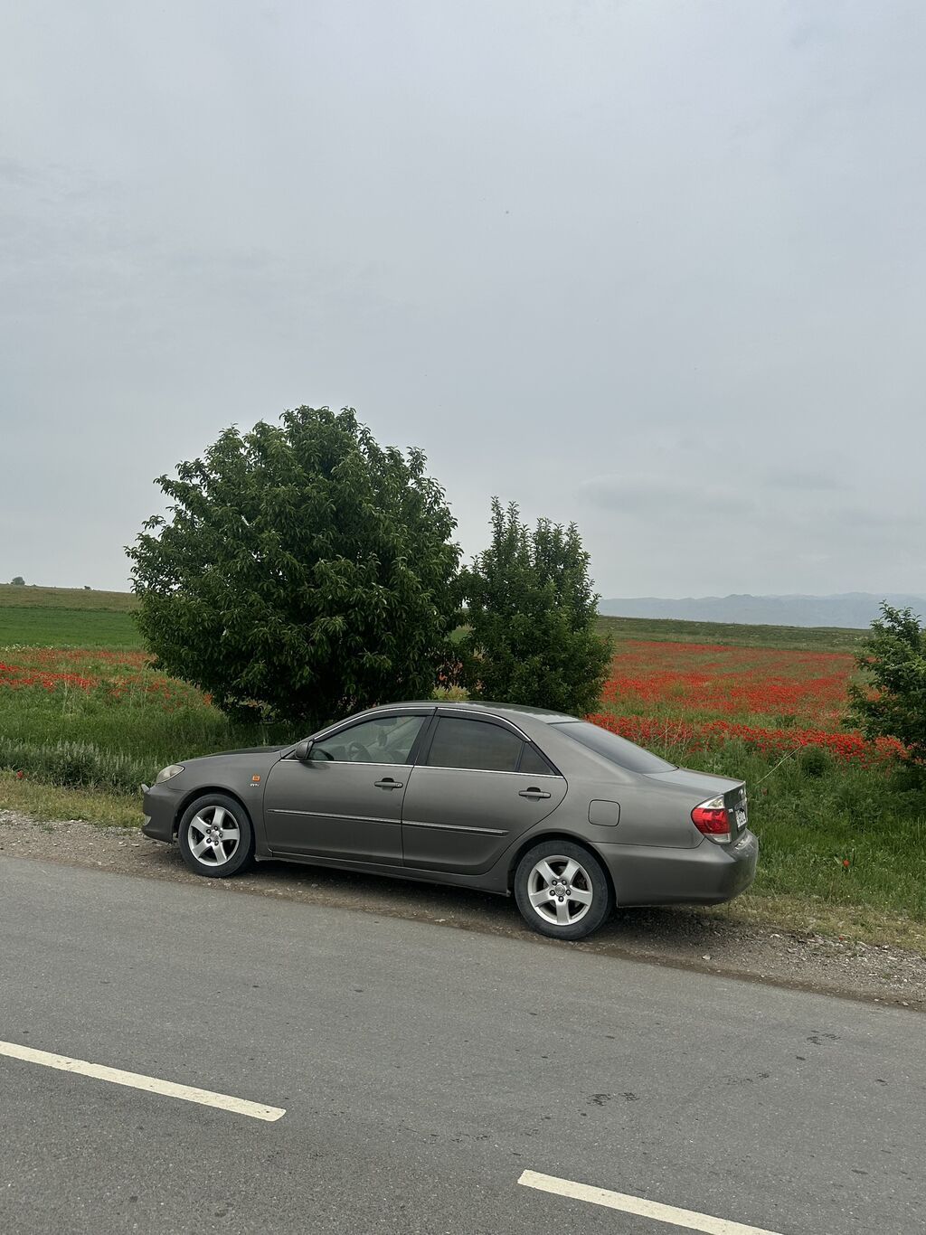 Toyota Camry: 2004 г., 2.4 л, Автомат, Газ: фото 6