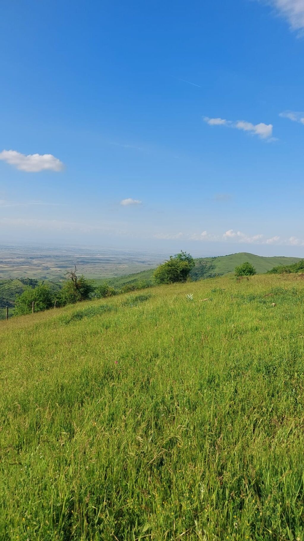 Satılır: Dağ mənzərəli torpaq sahəsi - Təyinat: fərdi yaşayış/evi