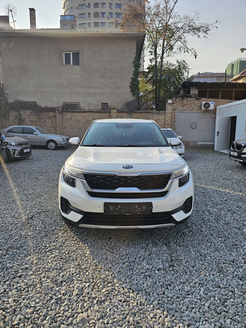 Kia Seltos: 2020 г., 1.6 л, Автомат, Дизель, Кроссовер: фото 3