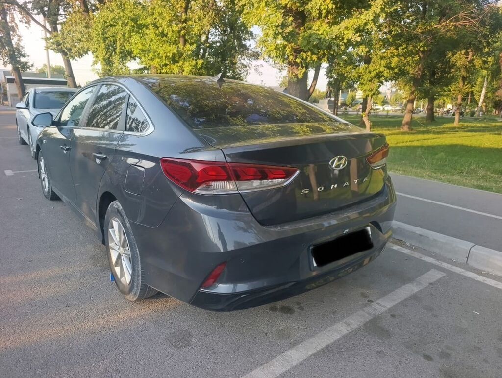 Hyundai Sonata: 2019 г., 2 л, Автомат, Газ, Седан: фото 3