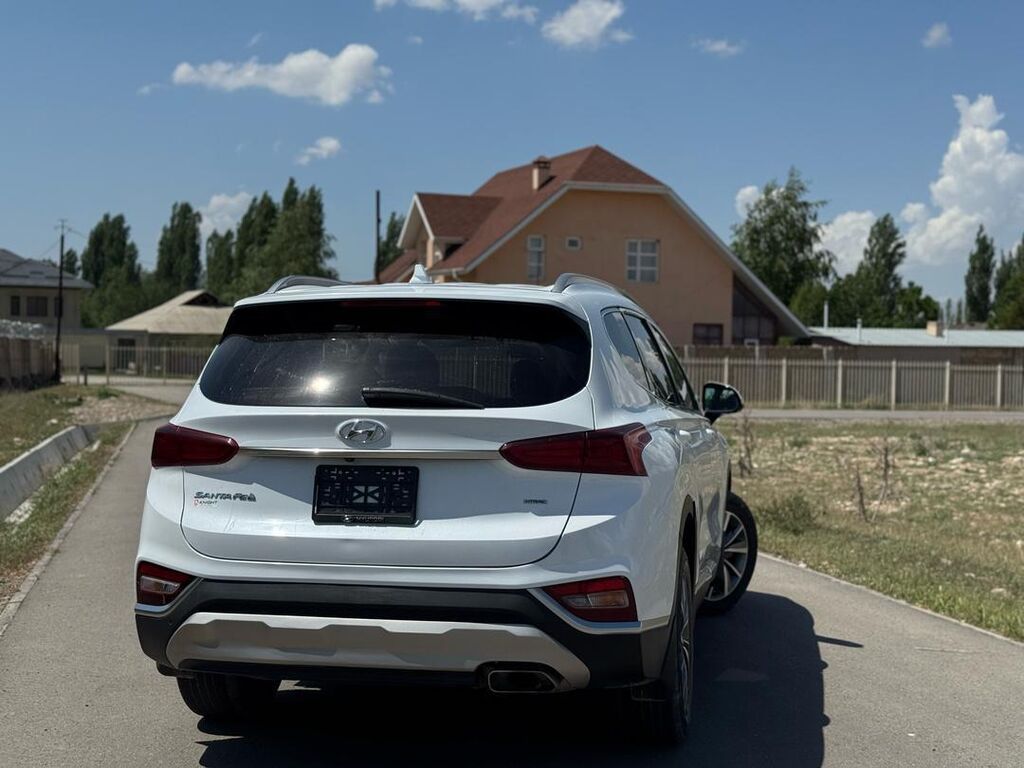 Hyundai Santa Fe: 2019 г., 2.4 л, Автомат, Бензин, Кроссовер: фото 6