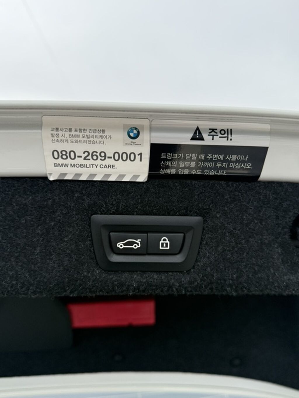 BMW 530: 2019 г., 2 л, Автомат, Бензин, Седан: фото 4
