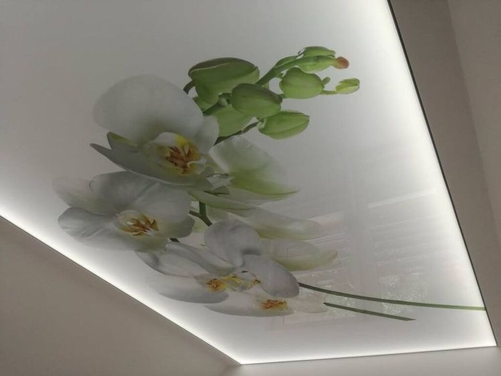 Натяжные потолки с цветами. Фотопечать на потолке. Фотопечать на потолке. Натяжные потолки с белыми цветами. Натяжные потолки с цветочками.