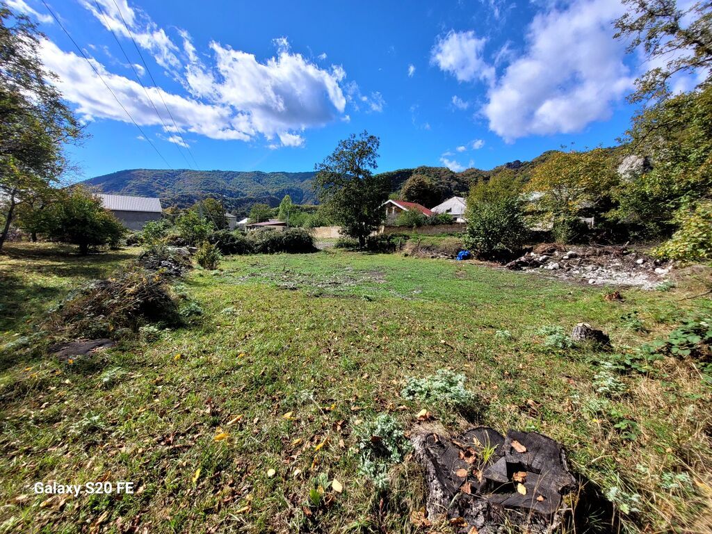 6 sot, Tikinti, Mülkiyyətçi, Kupça (Çıxarış)