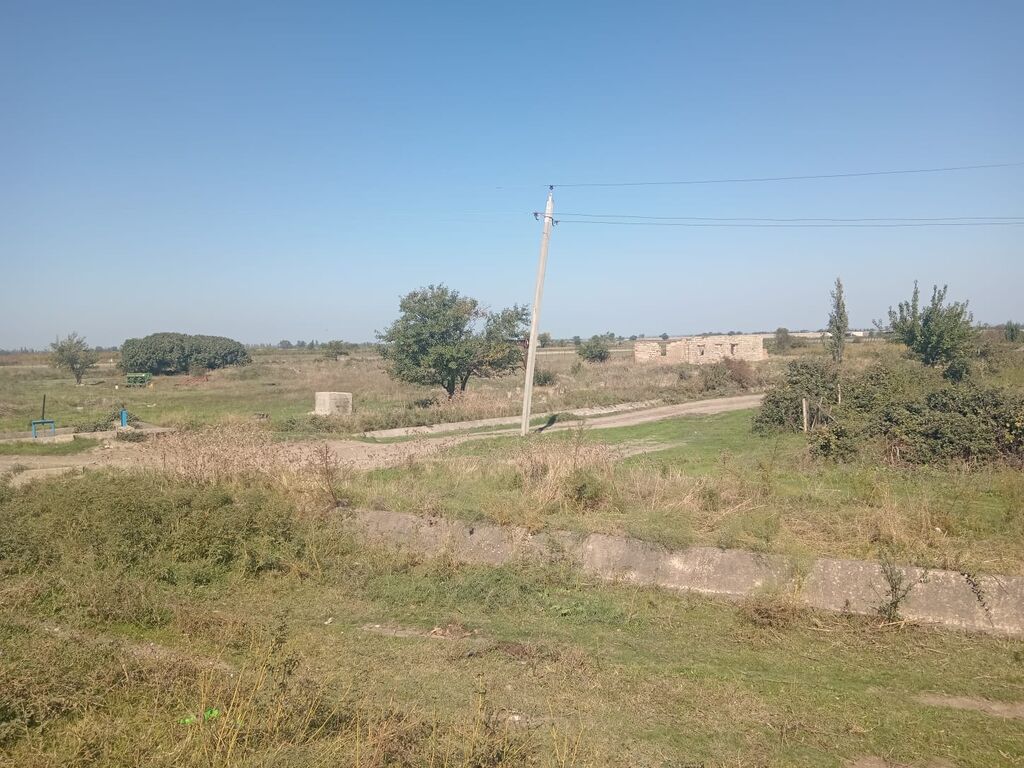 Biznes üçün