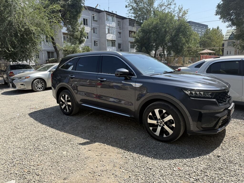 Kia Sorento: 2023 г., 2.2 л, Автомат, Бензин, Кроссовер: фото 2