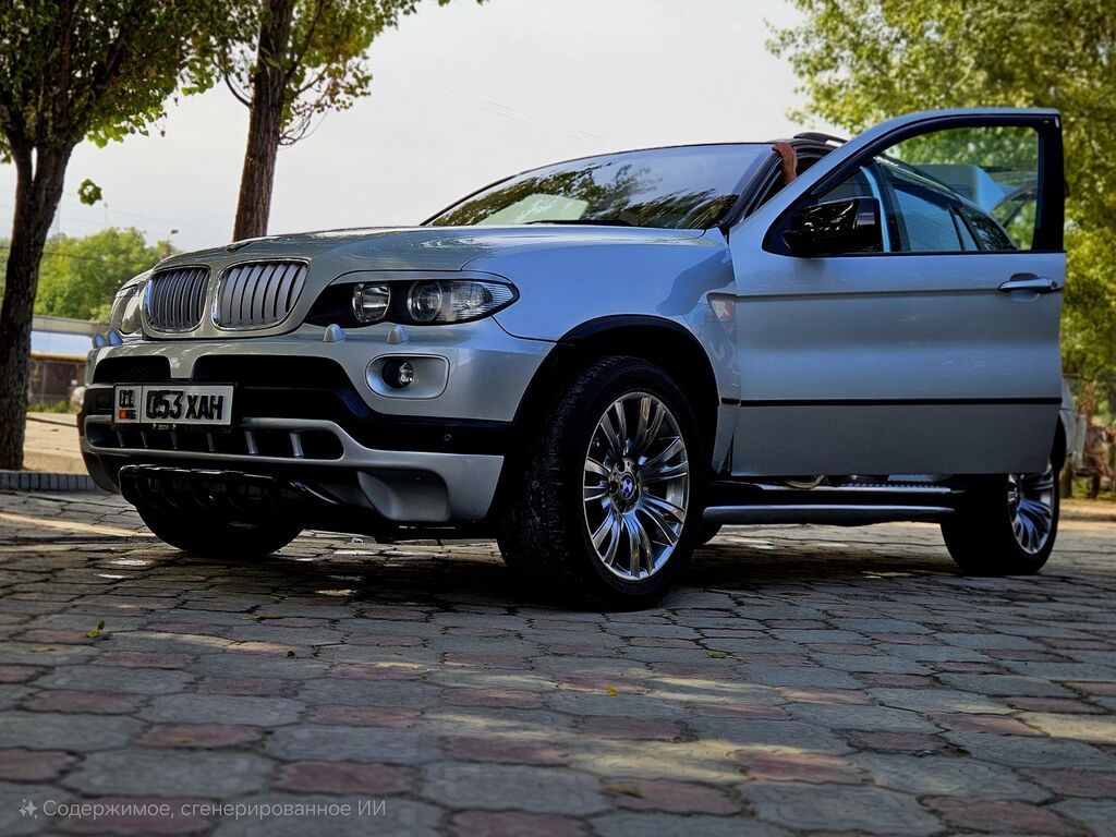 BMW X5: 2005 г., 3 л, Автомат, Дизель, Кроссовер: фото 4