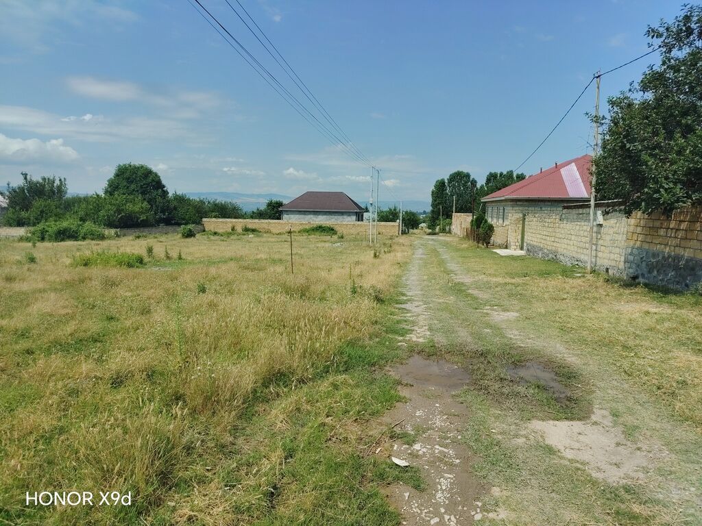 6 sot, Mülkiyyətçi, Kupça (Çıxarış)